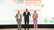 smebanksustainabilityroadmap